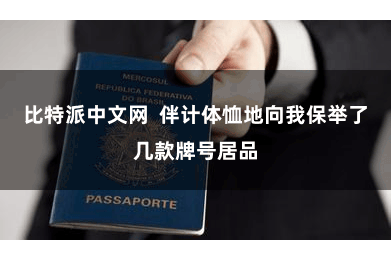 比特派中文网  伴计体恤地向我保举了几款牌号居品